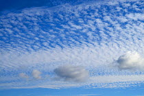 Cumulus and Cirrus Cloud formation New Forest, Hampshire, England, UK.