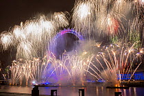 Fireworks over the London Eye on New Years Eve 2012. London, England, UK.