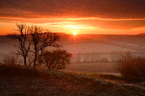 Sunrise over Hod Hill, Blackmore Vale, Dorest, England, UK, November 2012.
