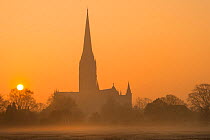 Salisbury Cathedral at dawn, seen from across a meadow, Wiltshire, England, UK, March.