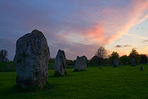 Avebury standing stones at sunset, part of the Stonehenge, Avebury and Associated Sites UNESCO World Heritage Site, Wiltshire, England, UK, May. 2013.