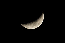 Cresent Moon, Hampshire, England, UK. February.