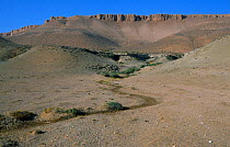 Sand dunes and cliffs, landscape of Badkhyz, South Turkmenistan.