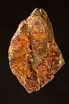 Allanite (Ce,Ca,Y,La)2(Al,Fe+3)3(SiO4)3(OH). This is a sorosilicate group minerals and a rare mineral ore containing Cerium (Ce) from Kingman Pegmatite, Kingman, Arizona. This mineral occurs mainly in...