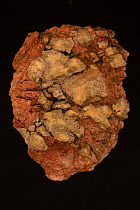 Fluocerite ((Ce,La)F3) from Black Cloud Pegmatite, Divide, Teller County, Colorado, USA.