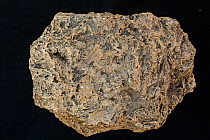 Tufa, a limestone rock, from Mono County, California, USA.