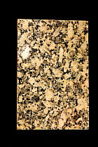 Granite, a metamorphic rock, polished slab, from Northern Italy.