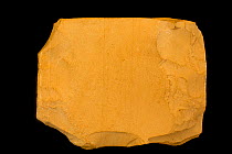 Lithographic limestone from Solnhofen, Bavaria, Germany.