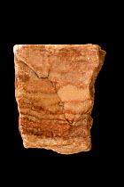 Alabaster, a type of gypsum CaSO42H2O, from Garden of the Gods, Colorado, USA.