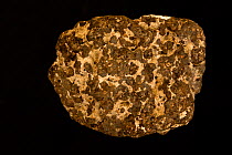 Goethite (FeO(OH)), an ore mineral of iron