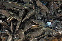 Silicon Carbide (SiC) Synthetic (Man-Made) crystals.
