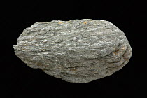 Mica Schist, a metamorphic rock containing mica crystals, Ketchikan, Alaska