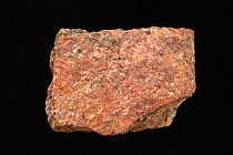 Mica Schist, a metamorphic rock containing mica crystals, from Nevada.