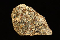 Garnet Schist, a metamorphic rock containing garnet minerals, from Colorado, USA.