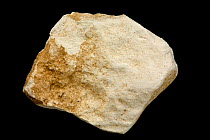 Chalk,  calcium carbonate or CaCO3 from Rotting Dean, England, UK.