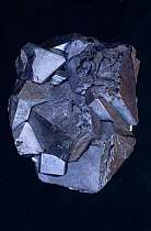 Galena (PbS) a lead ore, from Madan, Bulgaria.