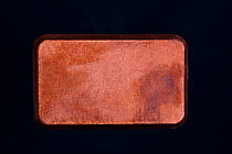 Copper Ingot (Cu)