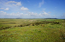View towards Guerreiro village over the Alentejo Plains, Castro Verde, Alentejo, Portugal, April 2013.