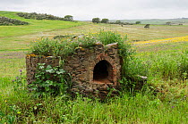 Old ruined bread oven, Castro Verde, Alentejo, Portugal, March.