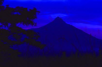 Dawn scenic of Mount Mikeno viewed from Tongo. An extinct volcano in the Southern Sector of the Virunga National Park. Part of 'The Virunga Massif Volcano Range', Democratic Republic of Congo. Septemb...