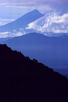 'The Virunga Massif Volcano Range': Mount Karisimbi viewed from Tongo, Southern Sector of Virunga National Park, Democratic Republic of Congo. September 1993