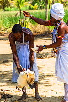 Priestess sprinkling water over man, carrying ducks to be sacrificed in thanks to The Orishas / Loa (deities or spirits) during a Voodoo / Vodun ceremony, Benin, February 2011.