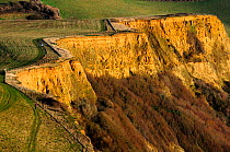 Coast path between Thorncombe Beason and Eype Mouth showing Thorncombe Sands in the cliff face, Dorset, UK.