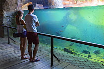 Tourists observing Hippopotamuses (Hippopotamus amphibius) in aggressive interaction, captive. Valencia Bioparc, Valencia, Spain. July 2013.