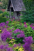 Alliums in garden border and summer house, Old Vicarage, East Ruston, Norfolk, June 2013.