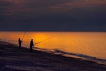 Fly fishermen fishing for Mackerel off Cley Beach at sunset, Norfolk, August 2013.