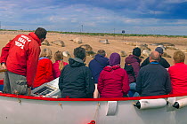 Boat full of people watching Common Seals (Phoca vitulina) on sand bank at Blakeney Point, Norfolk, August 2013.