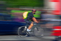 Cyclist in rush hour, Westminster, London, June 2013.