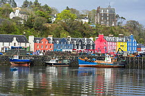 View of the harbour at Tobermory, Isle of Mull, Scotland, UK, May 2013.