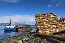 Softwood coniferous timber ready for transport to mainland, Isle of Mull, Inner Hebrides, Scotland, UK, May 2013.
