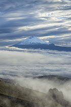 Early morning view to Cotopaxi Volcano, Latacunga Valley, Ecuador, September 2010.