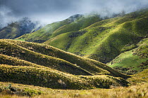 Rolling hills in Latacunga Valley, Ecuador, September 2010.