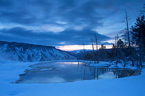 Canary Spring at dawn, Yellowstone National Park, Wyoming, USA, February 2013.