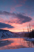 Canary Spring at dawn, Yellowstone National Park, Wyoming, USA, February 2013.