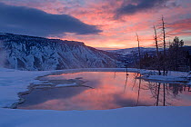 Pool at Canary Spring, at sunrise, Yellowstone National Park, Wyoming, USA, February 2013.