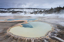 Geothermal pool in winter, Upper Geyser Basin, Yellowstone National Park, Wyoming, USA, February 2013.