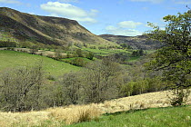 Landscape at Gilfach Farm Nature Reserve, Radnorshire Wildlife Trust St. Harmon, Rhayader / Rhaeadr Gwy, Powys, Wales, May.