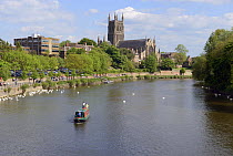 Worcester Cathedral, with the River Severn and swan sanctuary, Worcester, England, UK, May 2013.