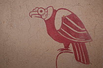Murals in Chaparri Ecolodge of Andean condor (Vultur gryphus) Chaparri reserve, Chiclayo, Lambayeque, Peru.