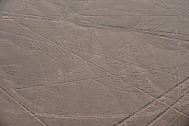 Geoglyph of Andean condor (Vultur gryphus) in the Nazca lines, Nazca, Ica, Peru.
