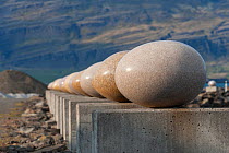 'Eggin i Gledivik?' by Siguraur Guamundsson, ?34 giant granite eggs along the coast? at Djupivogur, Iceland, June 2011.