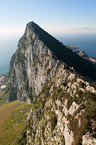 Rock of Gibraltar, a limestone headland, Gibraltar, British overseas territory, Iberian Penninsula, February 2005.