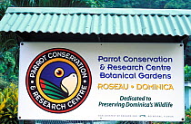 Sign for Parrot Conservation and Research Centre, which conserves two endemic species of parrot the Imperial amazon (Amazona imperialis) and the Red-necked Amazon (Amazona arausiaca) Roseau, Dominica,...