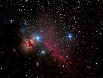 Horsehead Nebula in the Constellation Orion, a cloud of dust silhouetted against the red cloud of hydrogen gas. From Eastern Colorado, USA. October 6-7 2013.