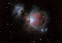 The Orion Nebula or M42 (Messier 42) as seen from Eastern Colorado in the early morning hours of October 8, 2013. Taken with digital image stacking.