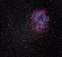The Rosette Nebula / Caldwell 49 and in the Monoceros Cloud of the Milky Way. Eastern Colorado, USA. Taken on the night of 7-8 October  2013, with digital focus stacking.